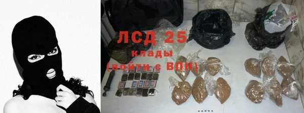 хмурый Осинники