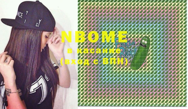 хмурый Осинники